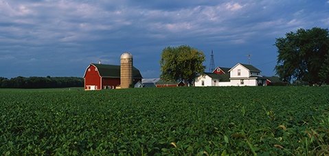 Wisconsin - Farm in a green field