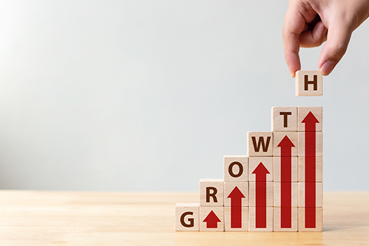 Growth-Blocks