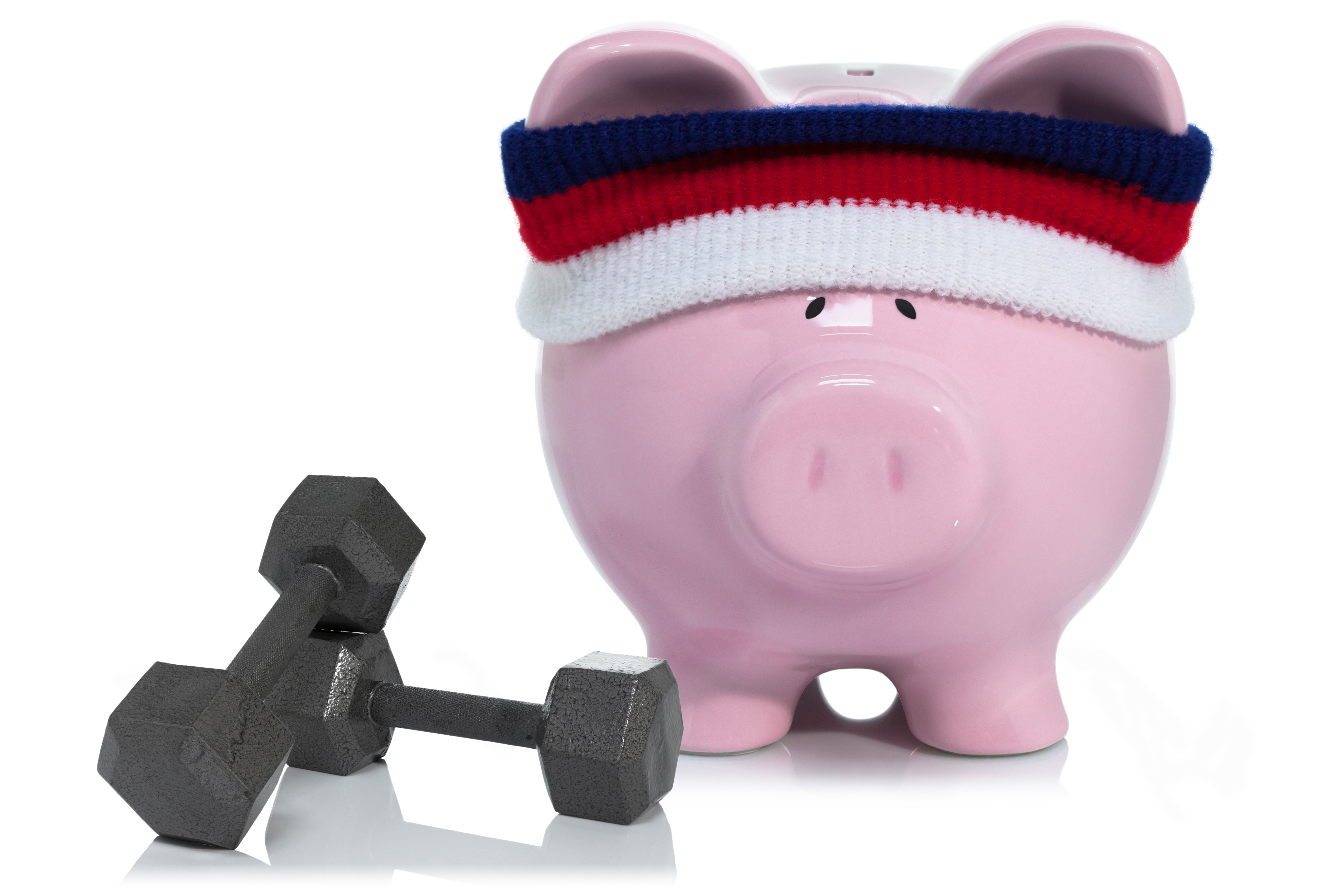 Piggy Bank Fitness (Financial Fitmess)